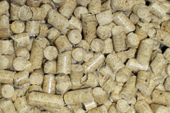 Almondsbury biomass boiler costs